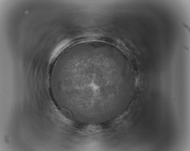 X0000103430101200809191710