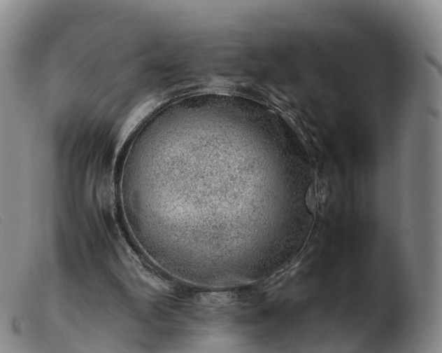 X0000103430102200809191710