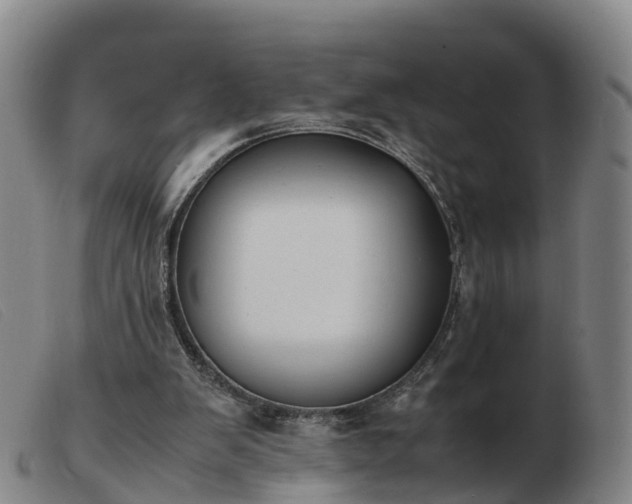 X0000103430103200809191710