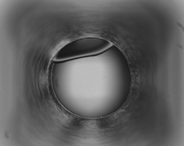 X0000103430104200809191710