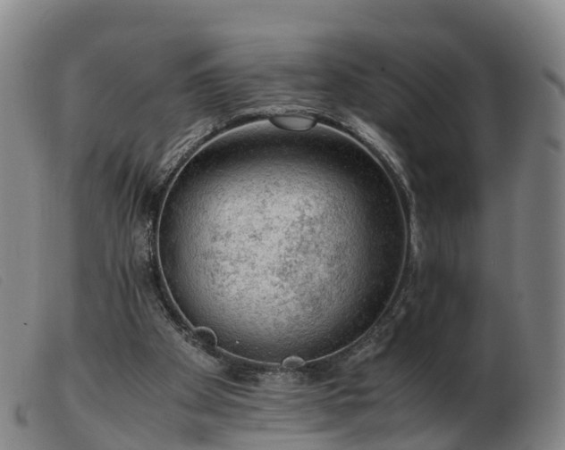 X0000103430105200809191710