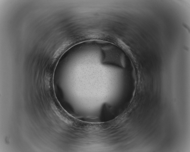 X0000103430106200809191710