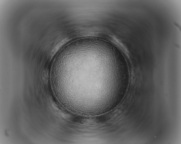 X0000103430107200809191710