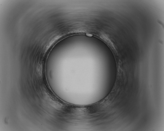 X0000103430108200809191710