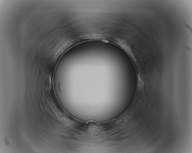 X0000103430109200809191710