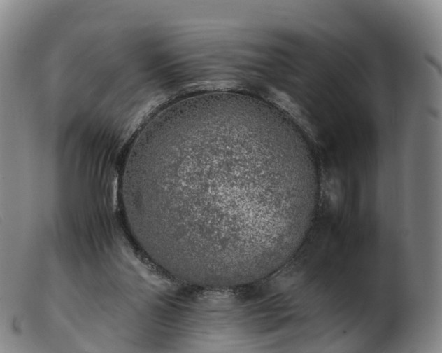 X0000103430110200809191710