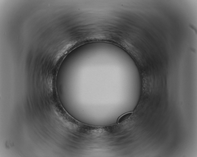 X0000103430112200809191710