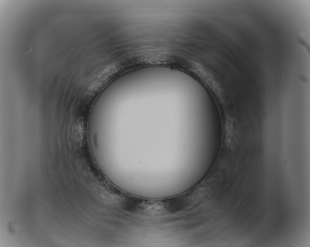 X0000103430113200809191710