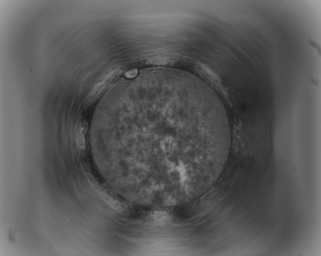 X0000103430114200809191710