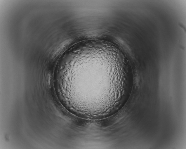 X0000103430115200809191710