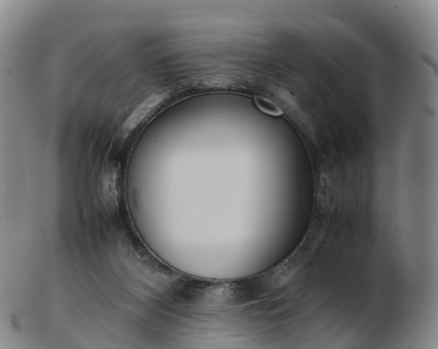 X0000103430116200809191710