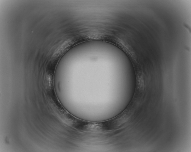 X0000103430117200809191710