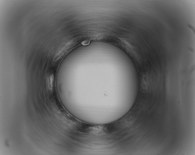 X0000103430118200809191710