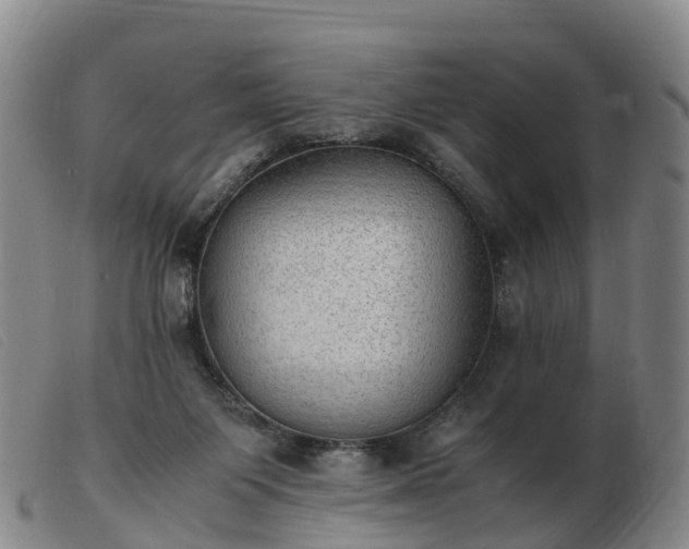 X0000103430119200809191710