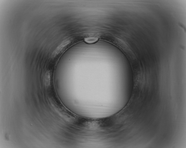 X0000103430120200809191710