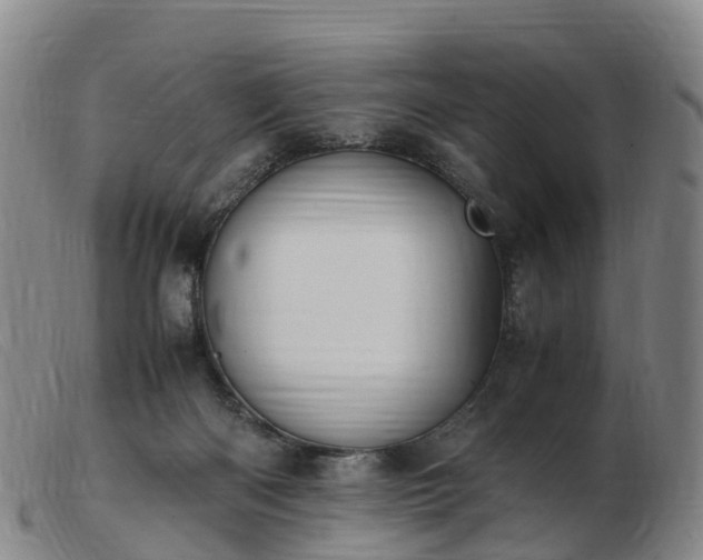 X0000103430122200809191710