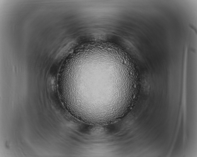 X0000103430123200809191710