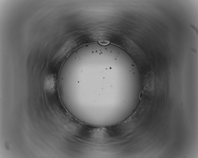 X0000103430124200809191710