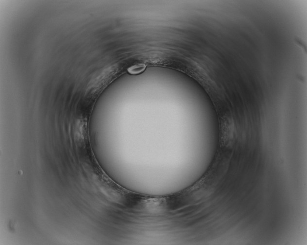 X0000103430126200809191710