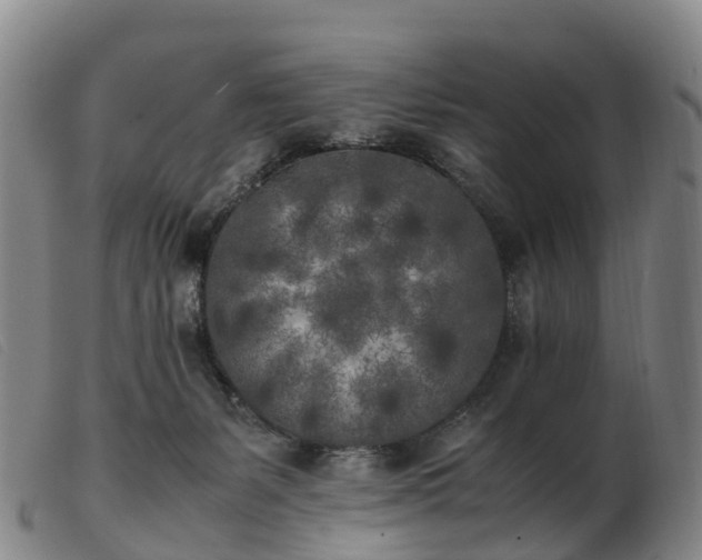 X0000103430127200809191710