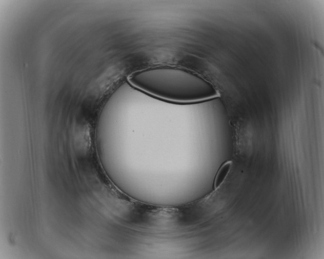 X0000103430128200809191710