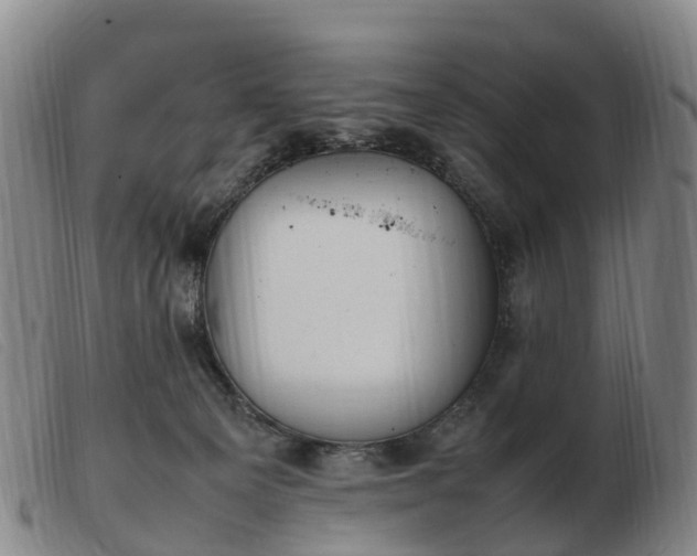 X0000103430129200809191710