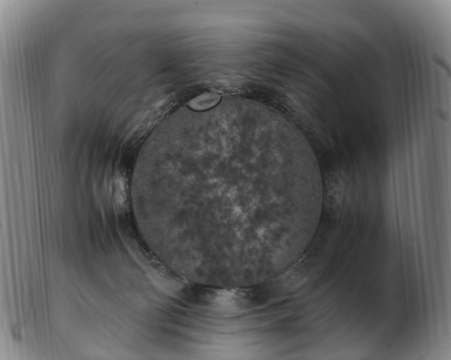 X0000103430130200809191709