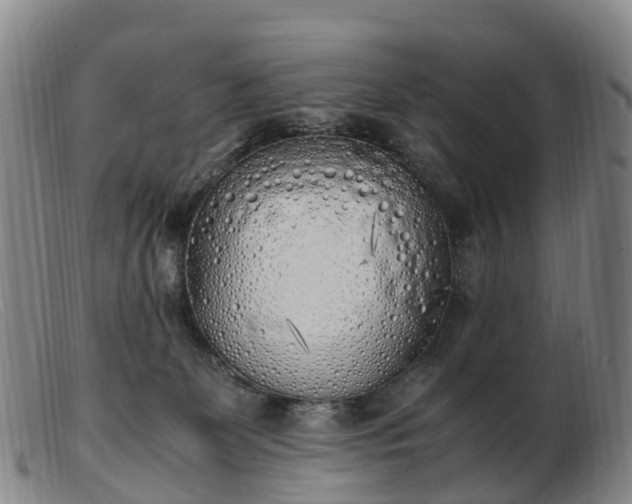 X0000103430131200809191709