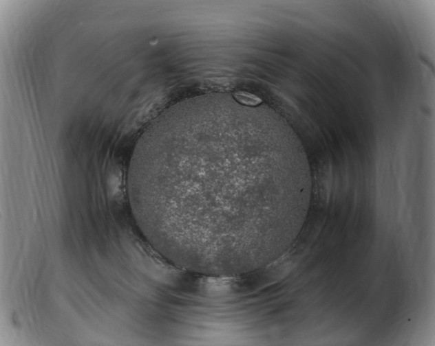 X0000103430134200809191709