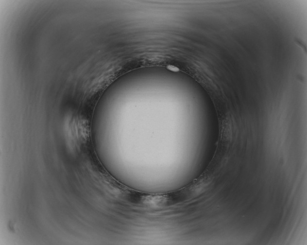 X0000103430135200809191709