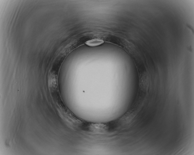 X0000103430137200809191709
