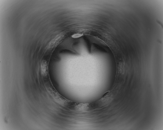 X0000103430138200809191709