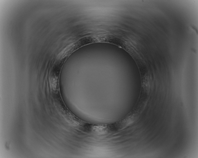 X0000103430139200809191709