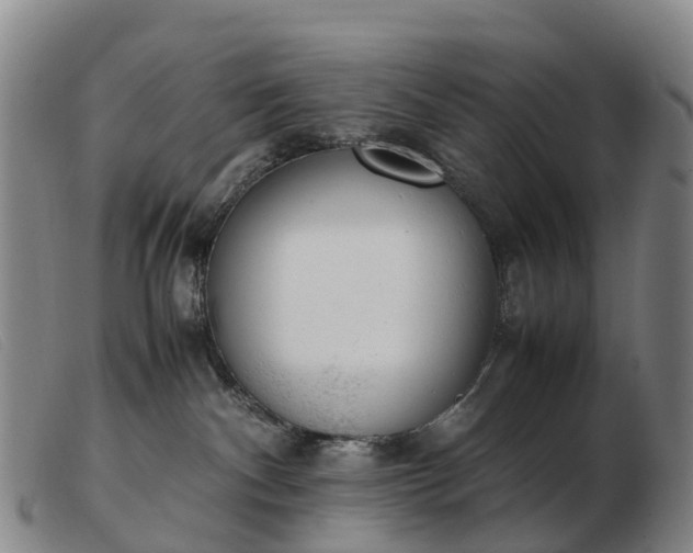 X0000103430140200809191709