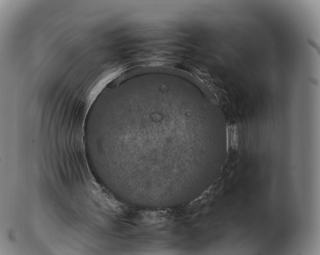 X0000103430147200809191709