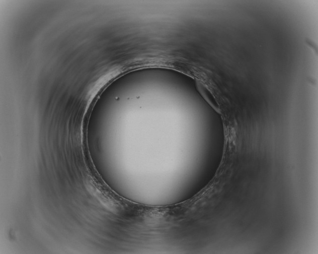 X0000103430148200809191709