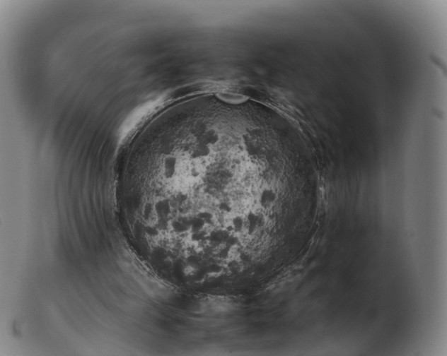 X0000103430149200809191709