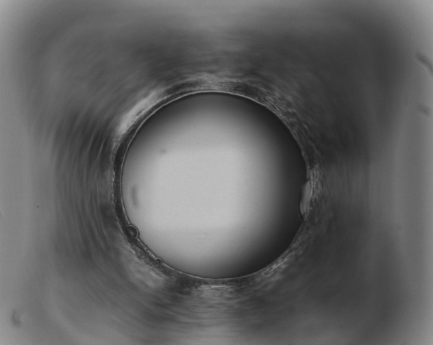 X0000103430150200809191709