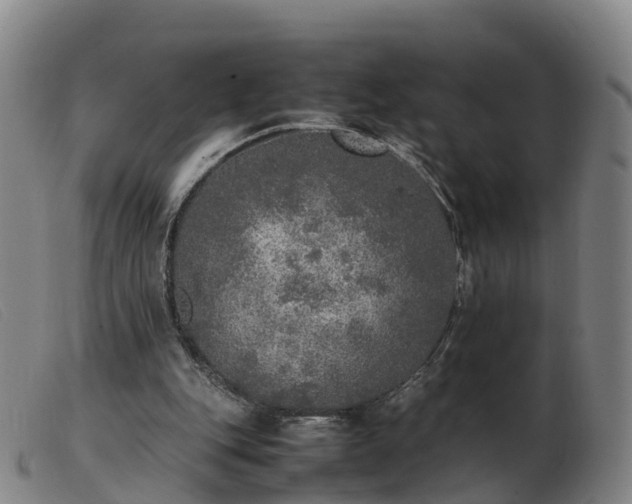 X0000103430151200809191709