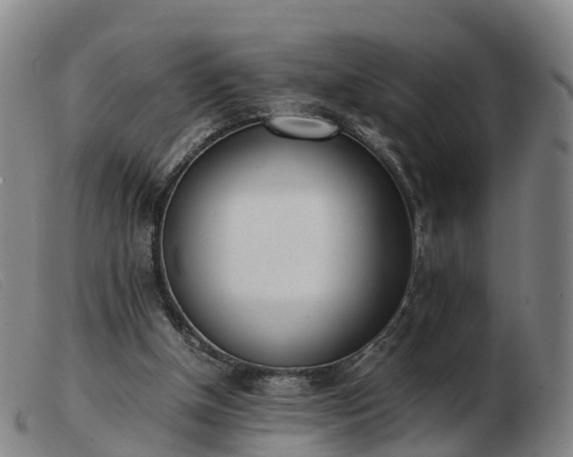 X0000103430154200809191709