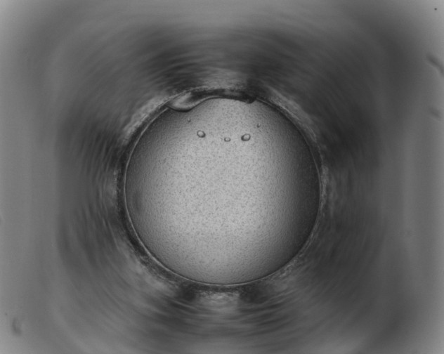 X0000103430155200809191709