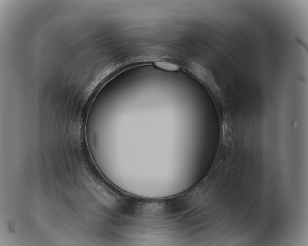 X0000103430156200809191709