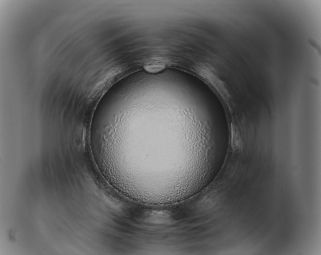 X0000103430157200809191709