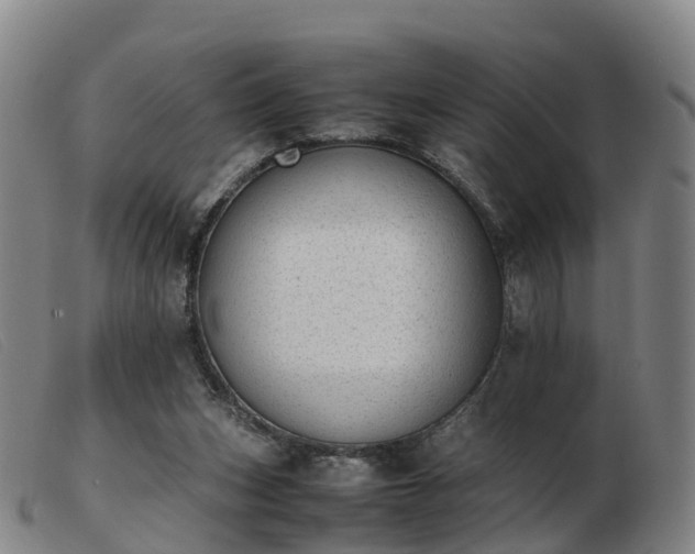 X0000103430159200809191709