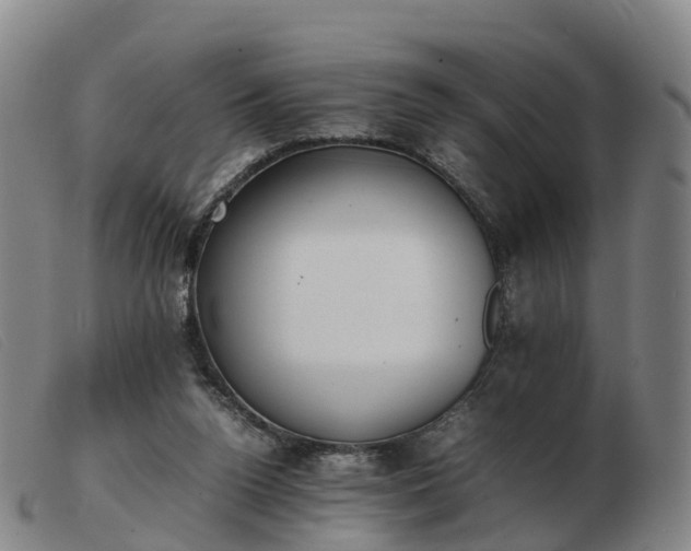 X0000103430160200809191709