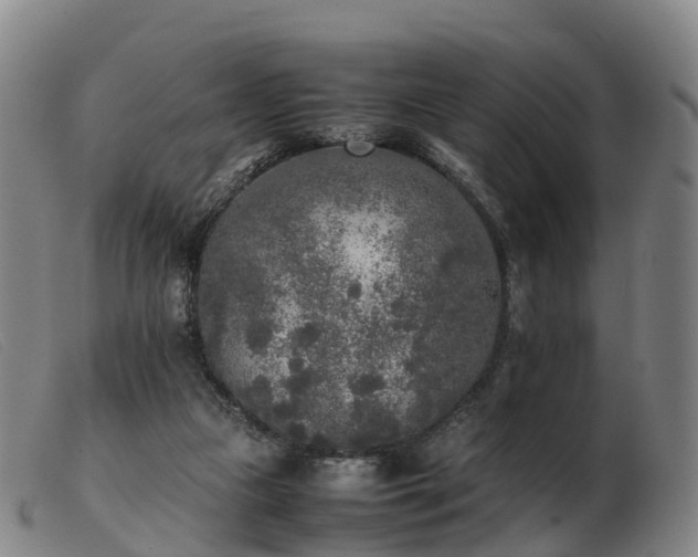 X0000103430161200809191709