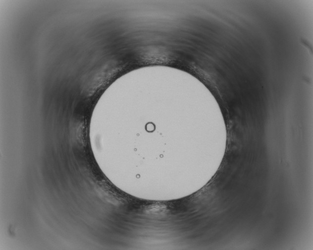 X0000103430162200809191709