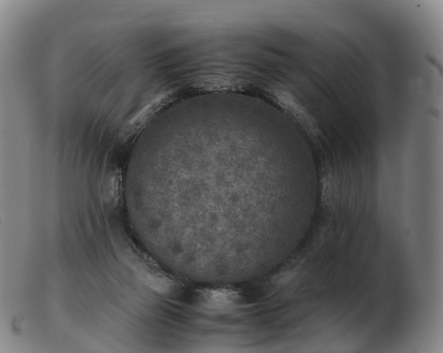 X0000103430165200809191709