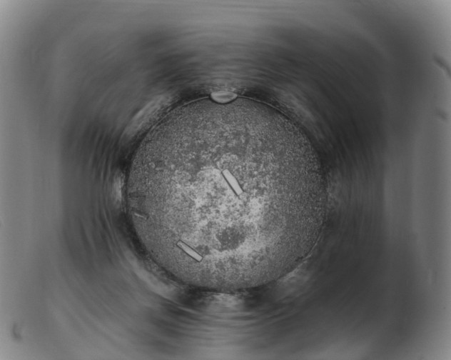 X0000103430166200809191709