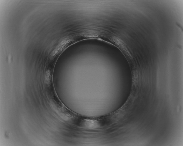 X0000103430167200809191709